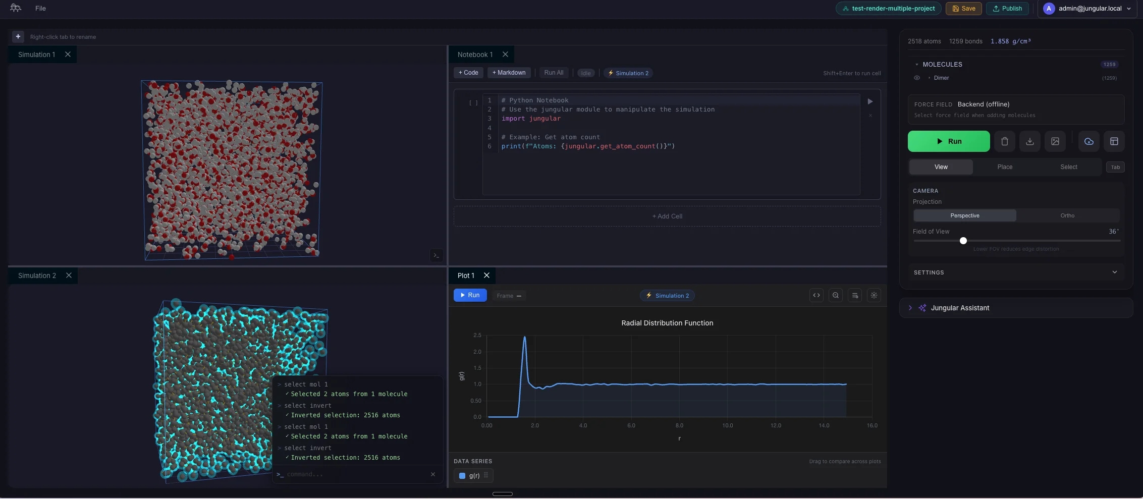 Jungular workspace with 3D viewer, Python notebook, and radial distribution function plot
